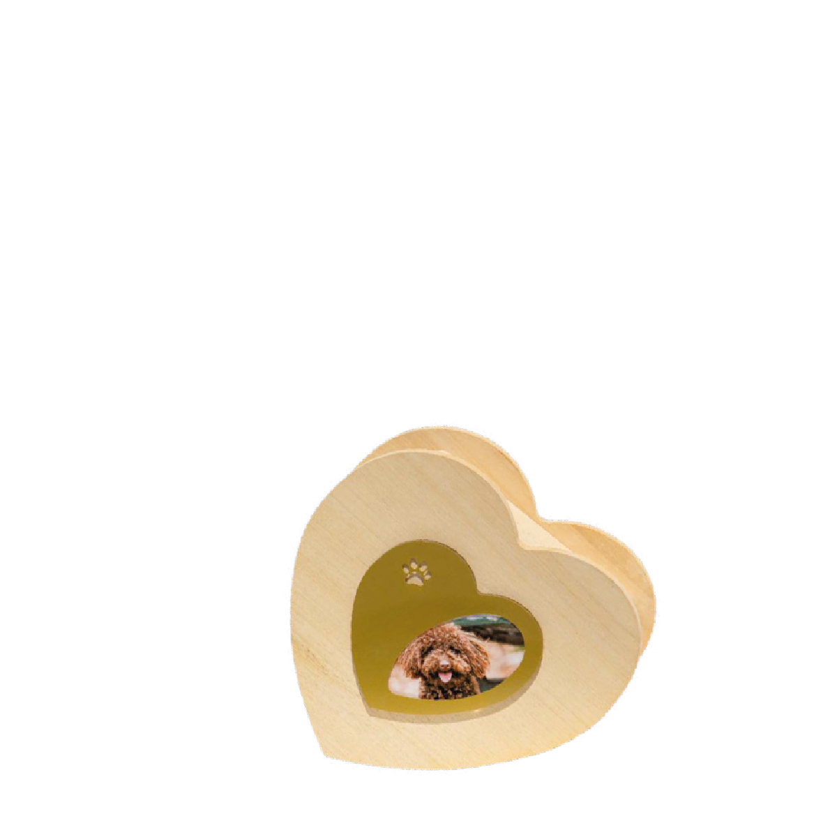 Cuore AY PHOTO