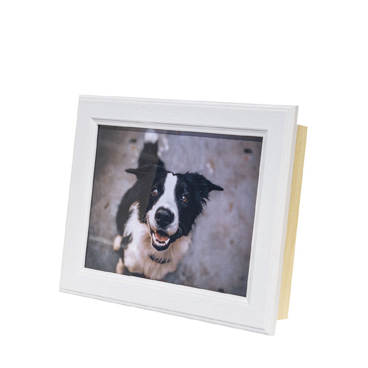 Memory White - immagine 2
